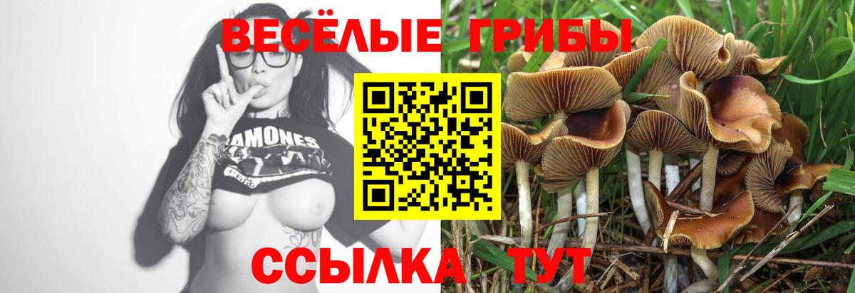 Галлюциногенные грибы мицелий Мурино