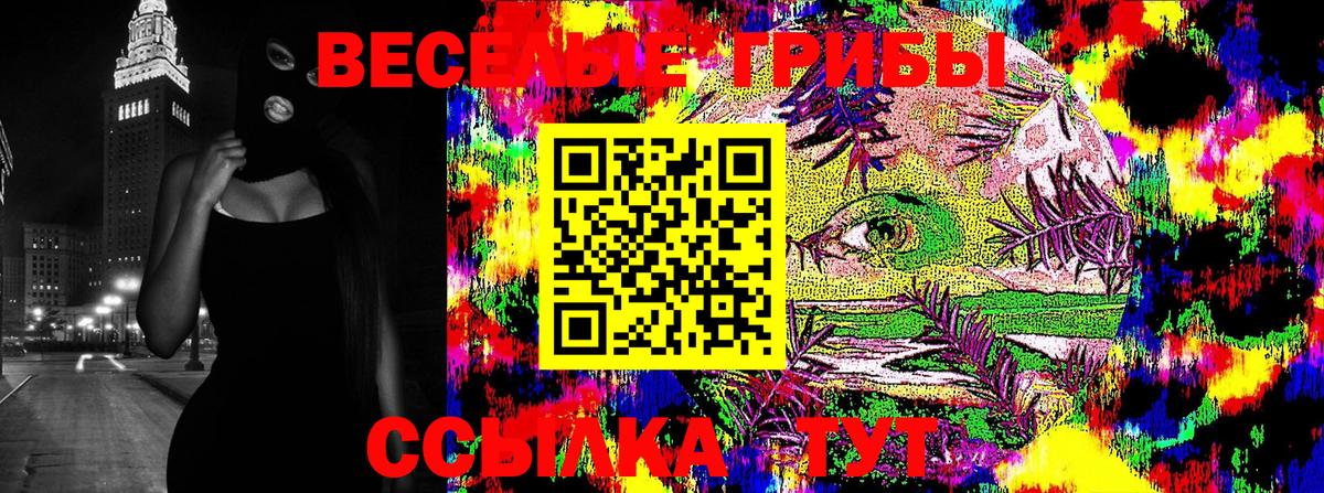 Галлюциногенные грибы Psilocybine cubensis  Вход с VPN  Мурино  Псилоцибиновые грибы ЛСД 
